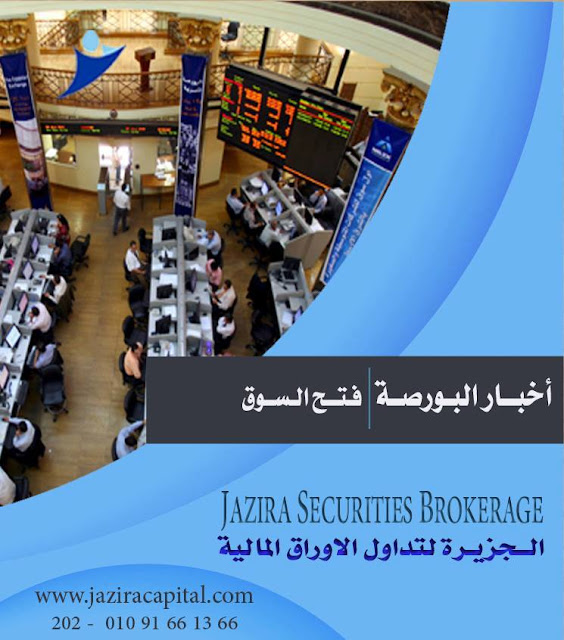 اليوم: بدء تسجيل أوامر شراء المصرية للدواجن 1.8 