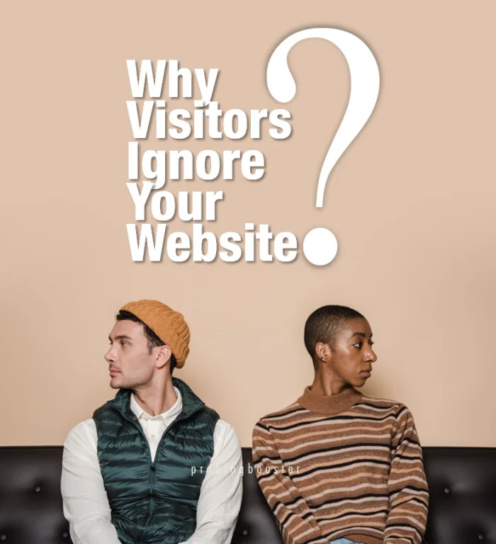 Why Visitors Ignore Your Website Why Visitors Ignore Your Website