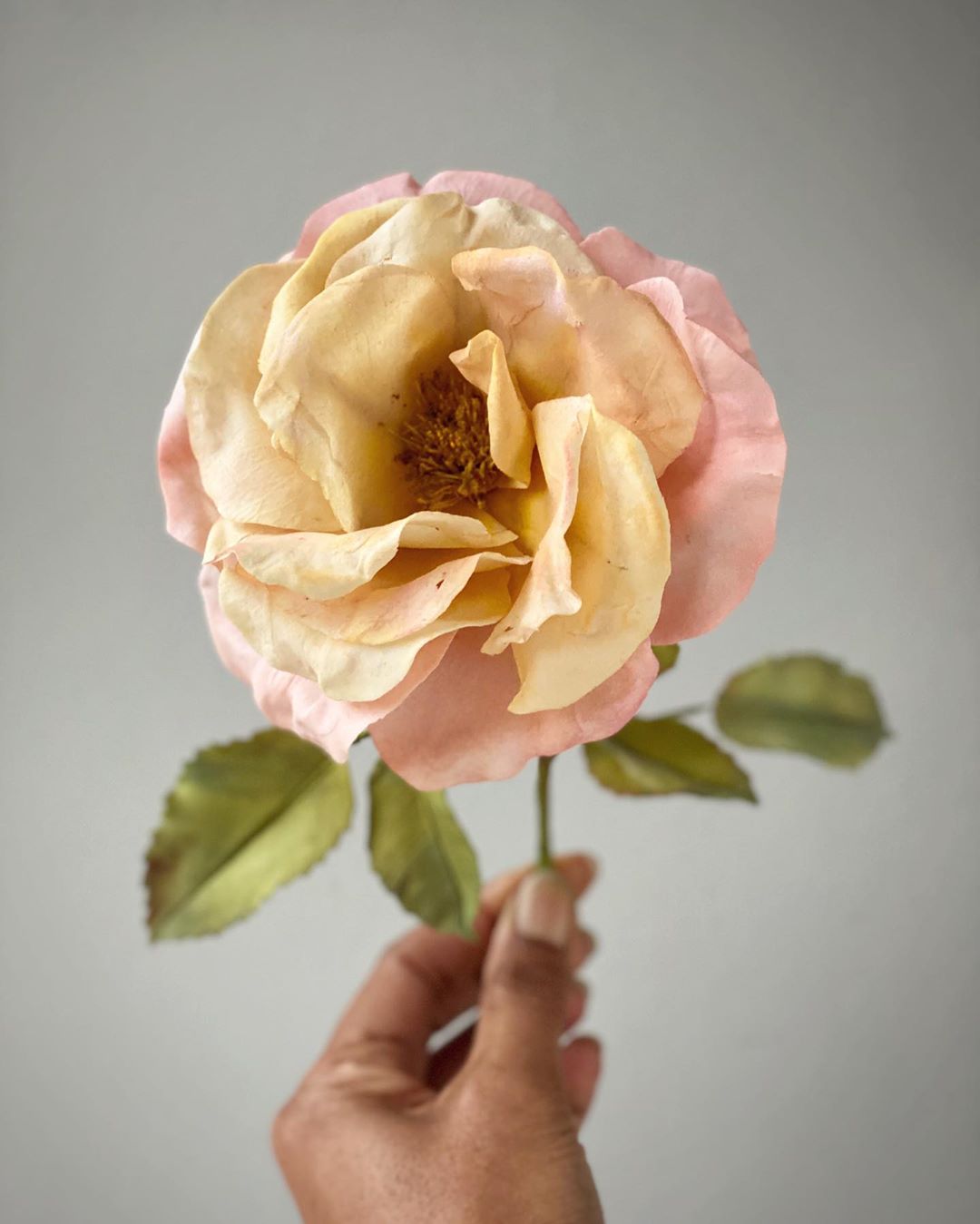 I Pensieri Sull Amicizia Di Matteo Ricci Gesuita Monday Motivation Culture Cool Chic Style Fashion