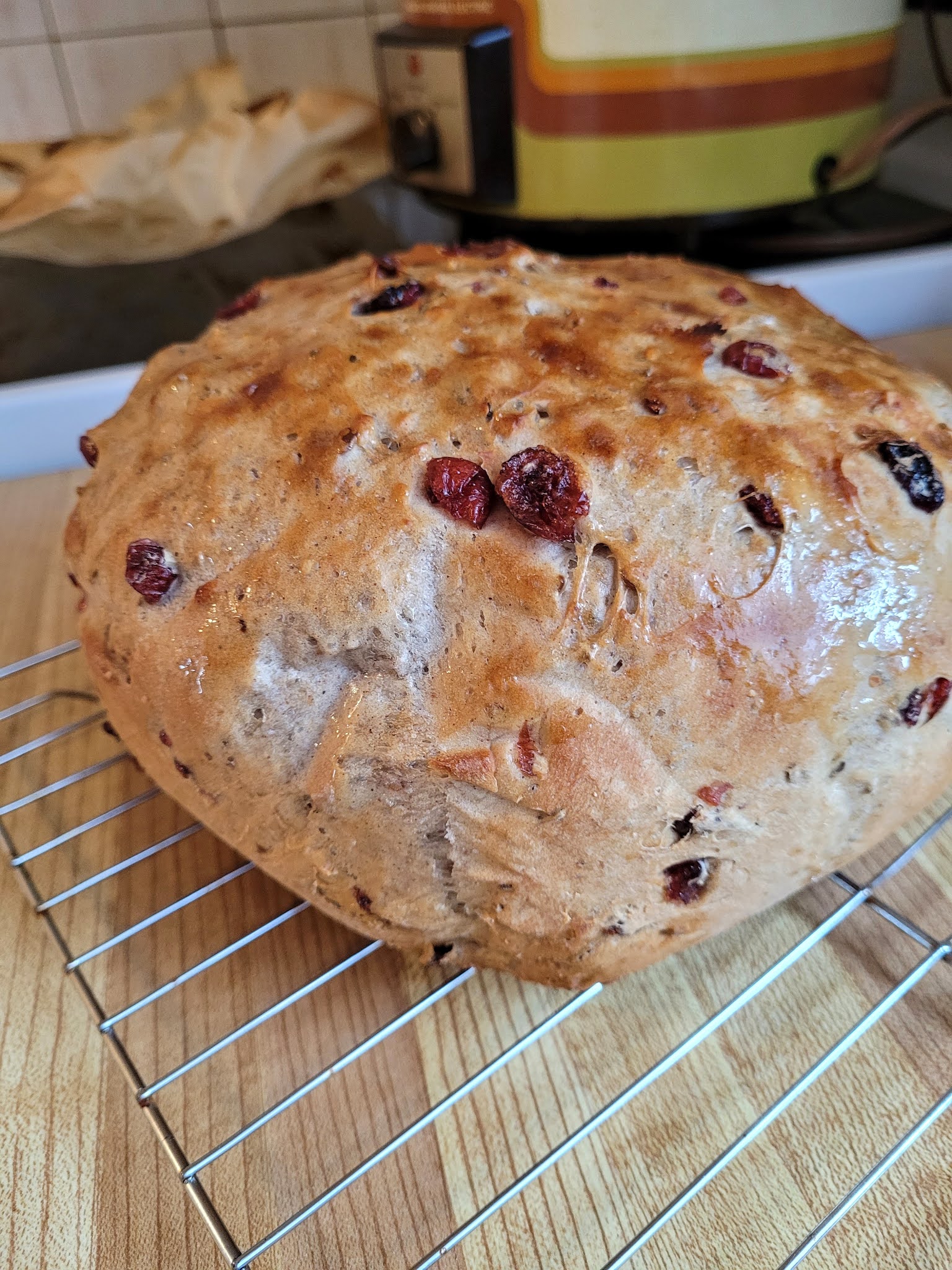 Hot and Cold Running Mom Just my Stuff Cranberry Walnut Slow Cooker