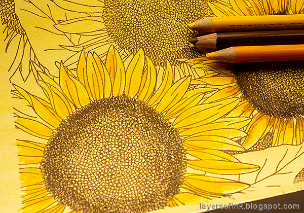 Color pencil sketching - Sunflower study Using Prismacolors in my