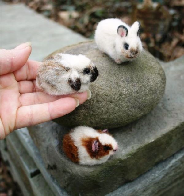 ΚΟΥΝΕΛΙΑ - ΛΑΓΟΙ photos - wallpapers (ανανεωμένο) | the fun bank