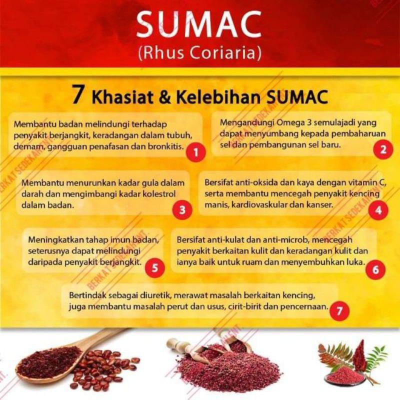 Dalam bahasa apa itu melayu sumac Awak Apa