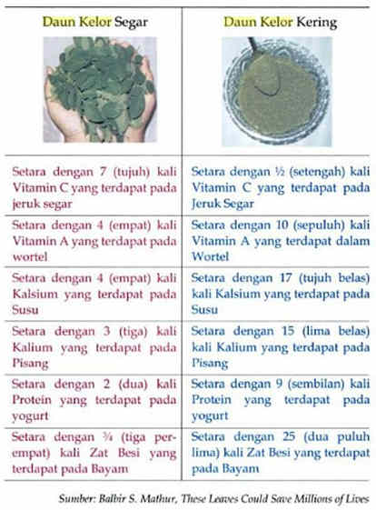 Manfaat kandungan daun kelor untuk kesehatan