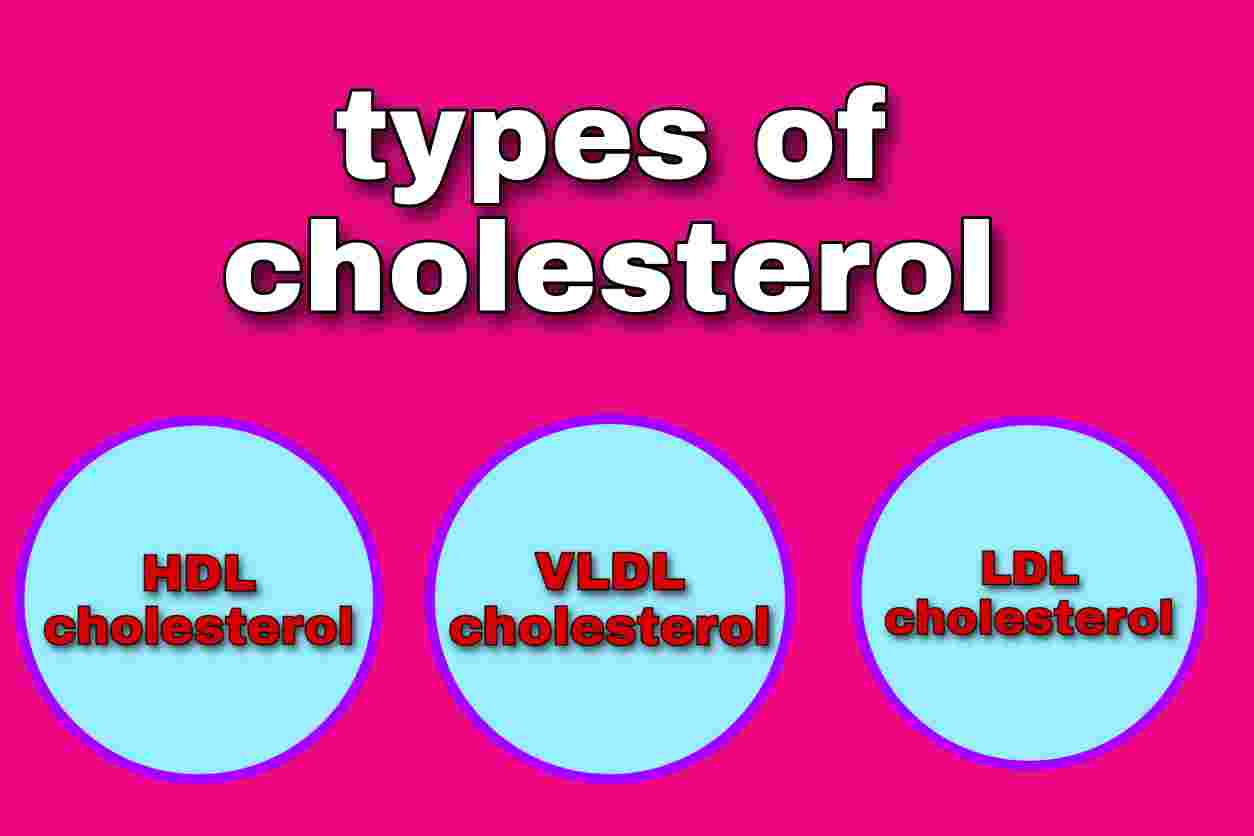 हाई कोलेस्ट्रॉल (High cholesterol): लक्षण, इलाज, प्रकार और अन्य जानकारी कोलेस्ट्रोल (cholesterol) के प्रकार