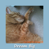 Corey The Orange Cat - Dream Big