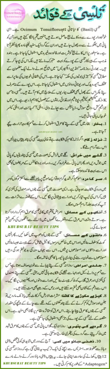 tulsi benefits in urdu tulsi ky faiday