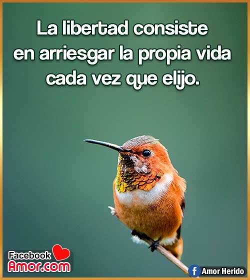 Frases bonitas de Libertad