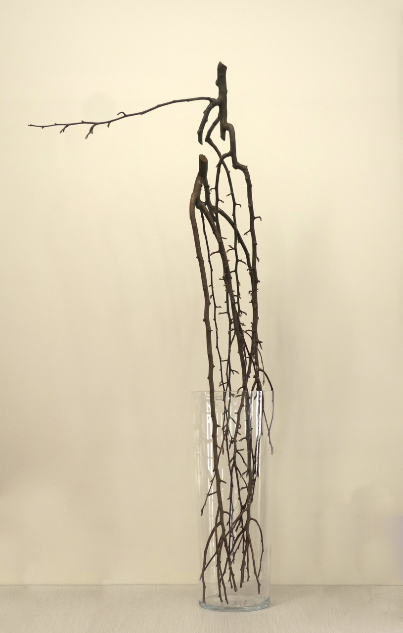 ROADSIDE IKEBANA THE SURF COAST ARTS TRAIL