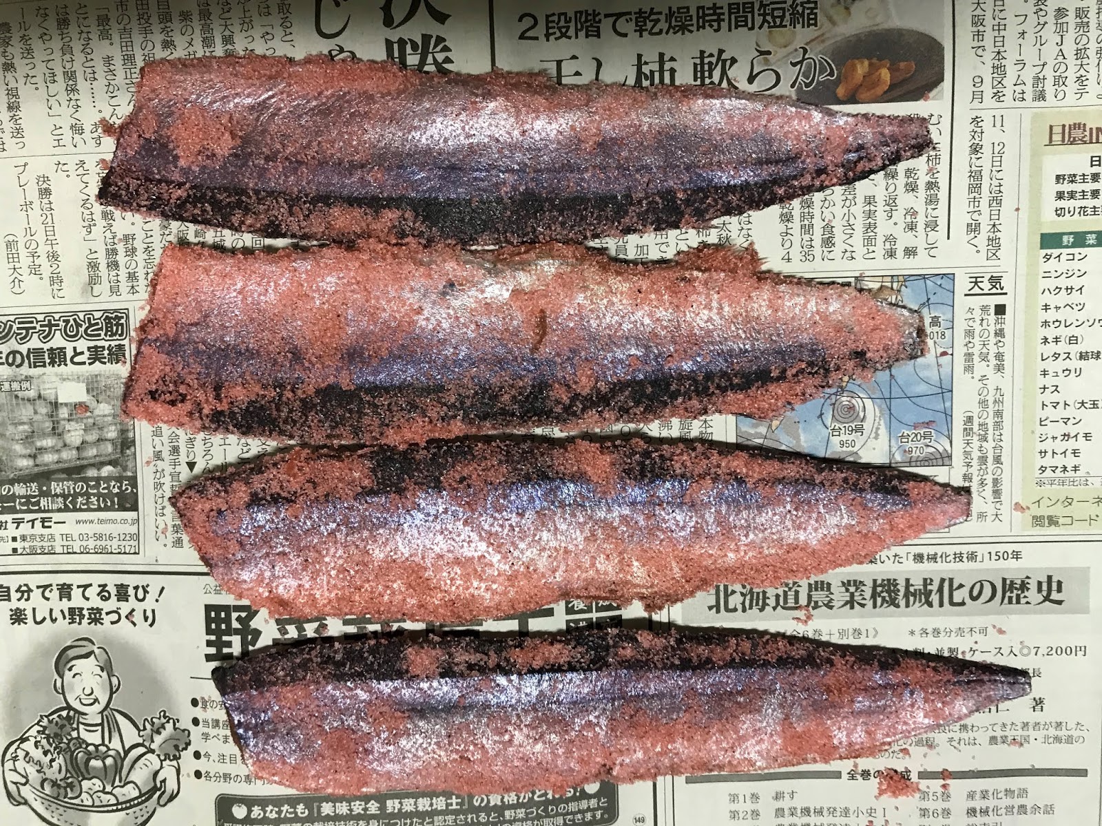 怪魚と世界の旅ノート サケ釣りの餌づくりその２