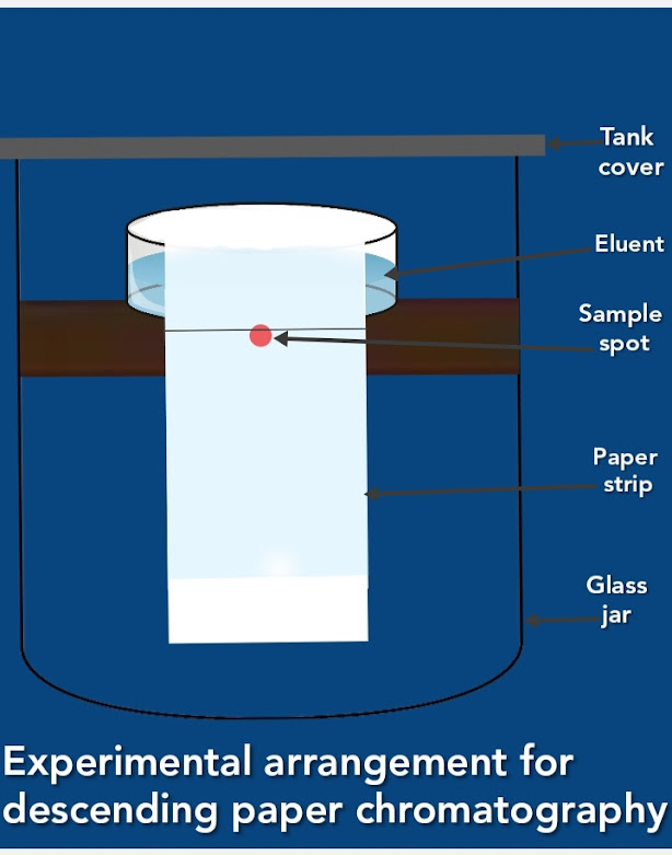 Separation techniques, chromatography its classification and paper