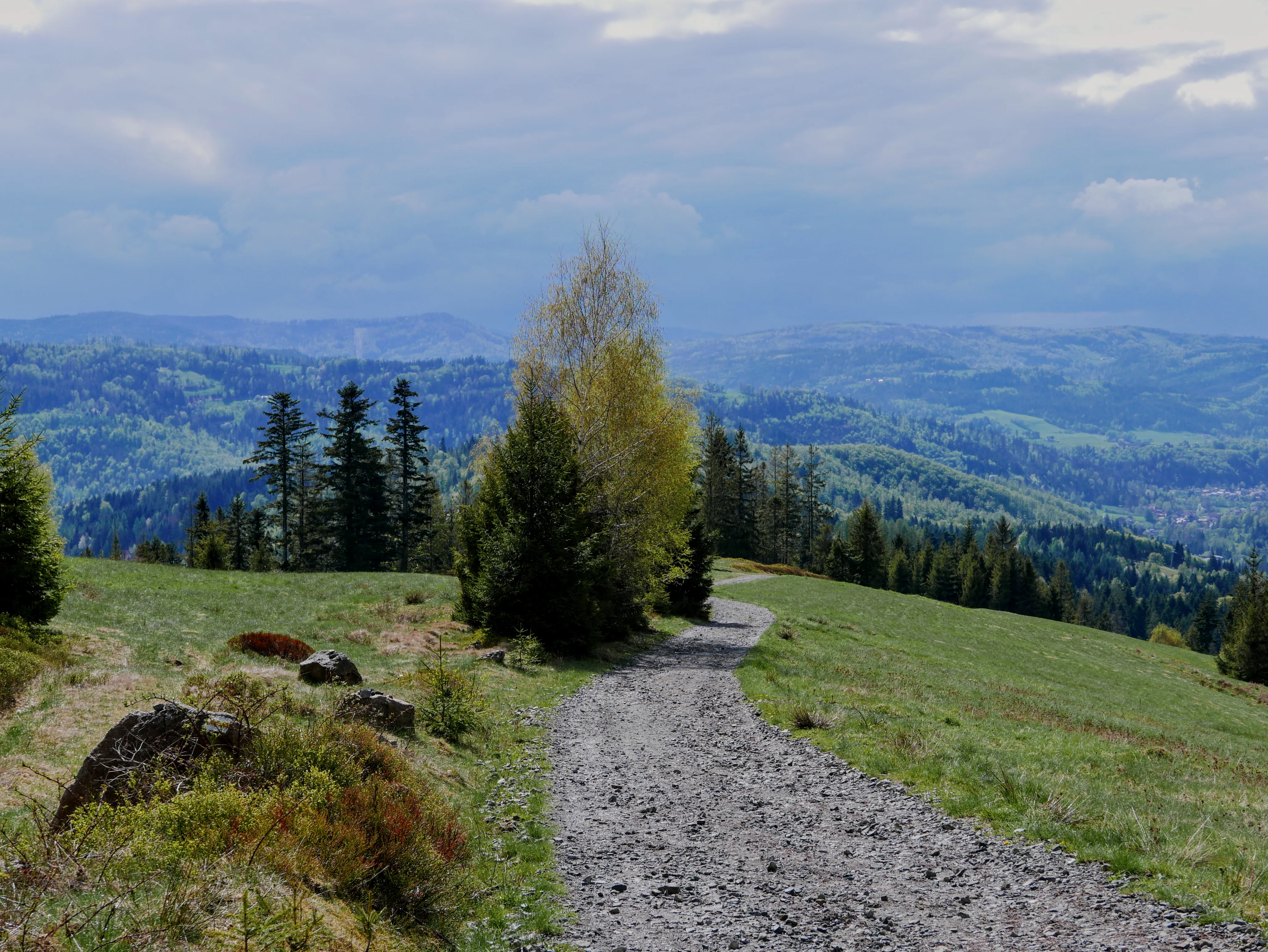 Beskid Śląski, Wisła: Cieńków szlak turystyczny
