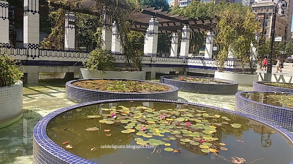 parque-patos-begoña