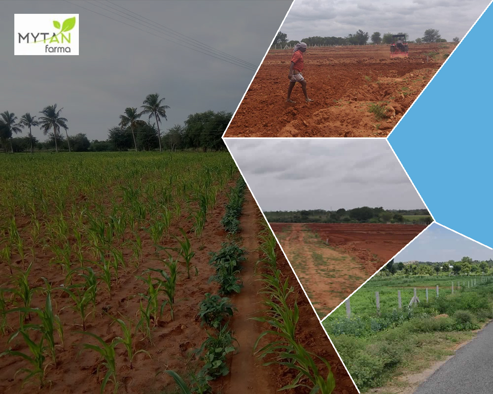 Best Agro Farm Land Company in Bangalore