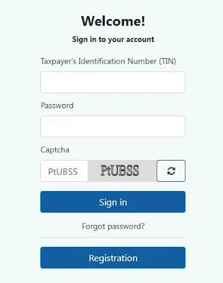 how-to-submit-e-return-online