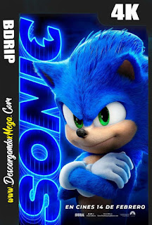  Sonic la película (2020) 