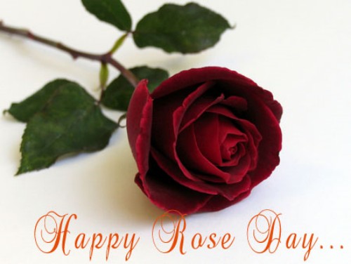 Happy Rose Day 2017 Image and Wallpaper