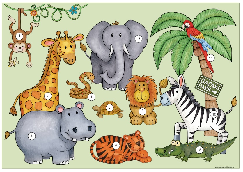 Ideenreise Flashcards Zoo Animals vrogue.co
