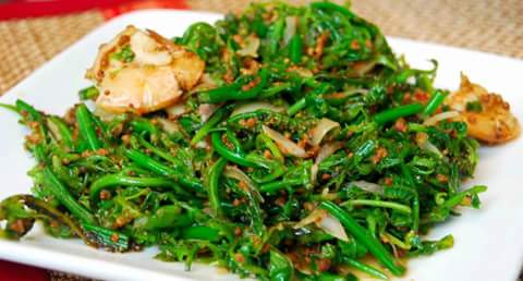 Kuliner Kita Resepi Pucuk Paku Goreng