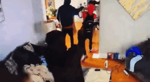 이미지에 대체텍스트 속성이 없습니다; 파일명은 giphy.gif 입니다.