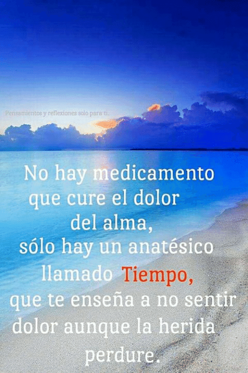 LA REFLEXIÓN de este sábado | Periódico Adrenalina