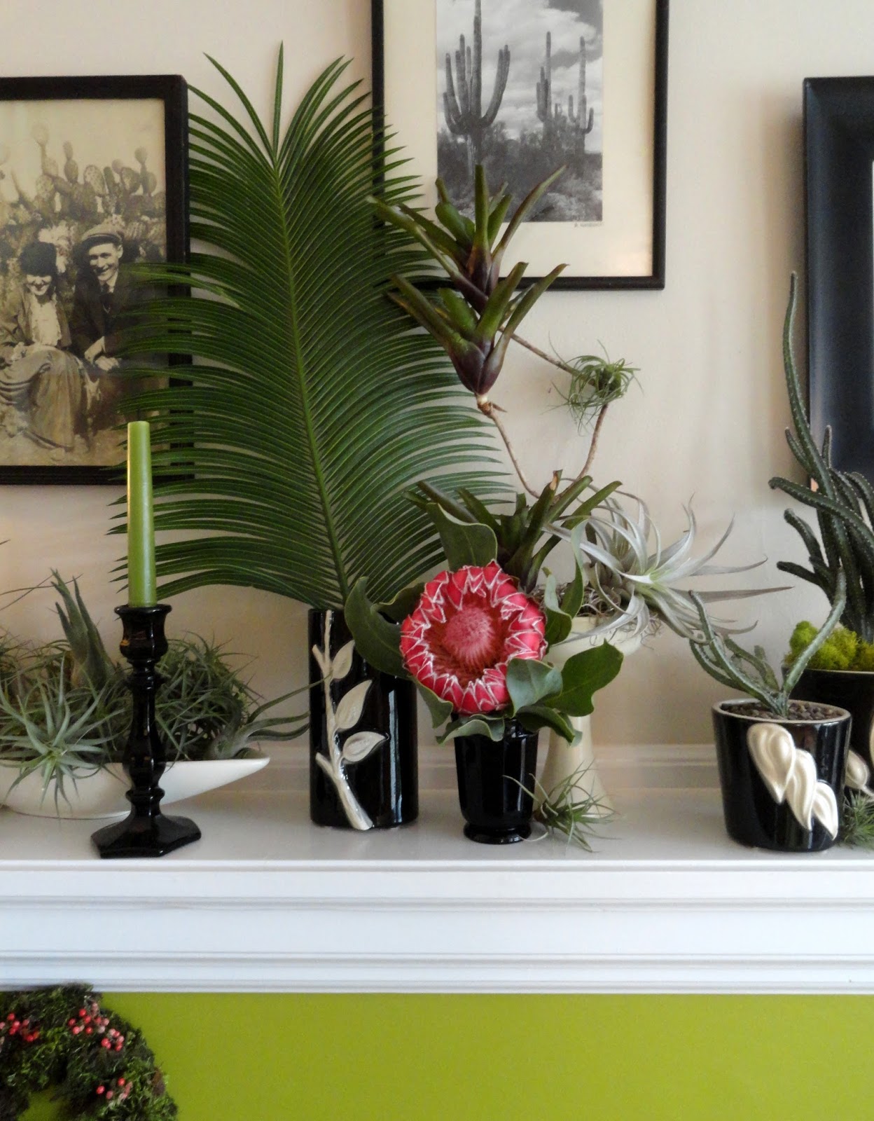 Danger Garden In A Vase On Monday A Refresh