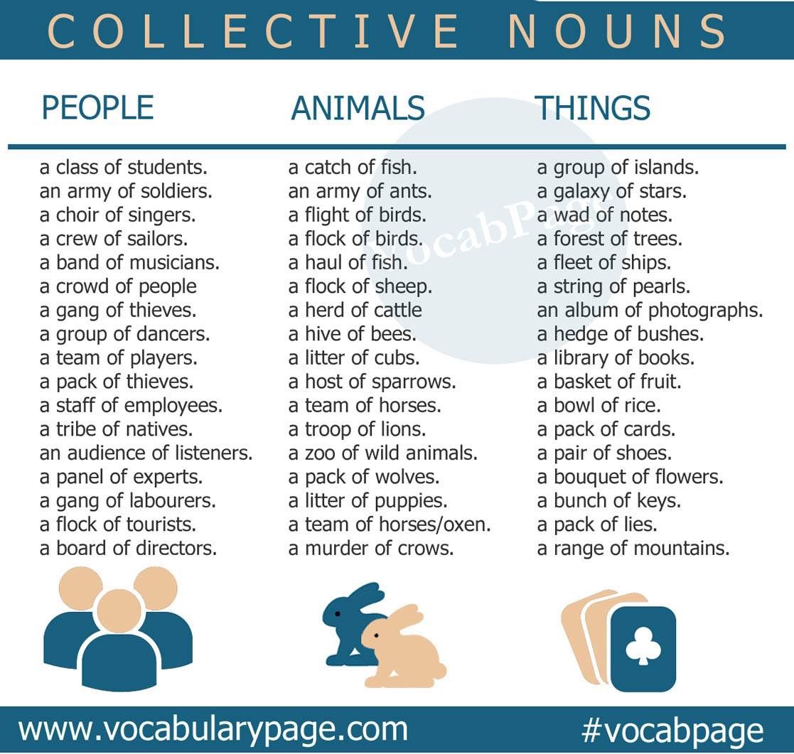 Hep names. Collective Nouns в английском языке. Group Nouns в английском языке. Common Collective Nouns. Common Nouns в английском языке.