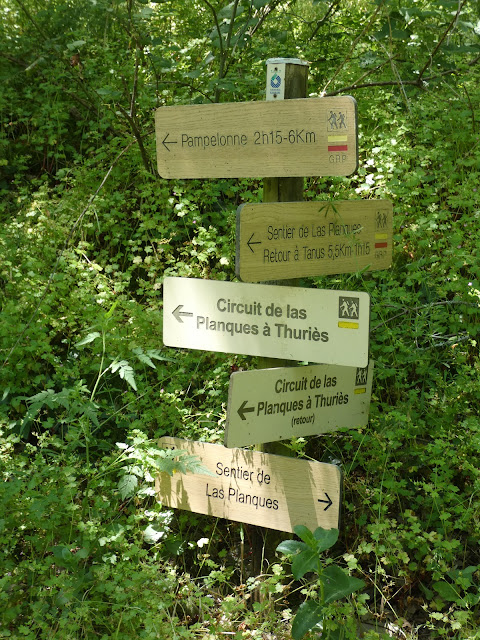Nous prendrons bien sûr la direction Pampelonne.