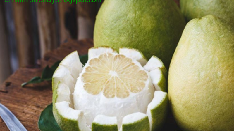 22 Arti Mimpi Tentang Buah Jeruk Bali Menurut Islam Primbon Arti Mimpi 22 Arti Mimpi Tentang Buah Jeruk Bali Menurut Islam Primbon Arti Mimpi