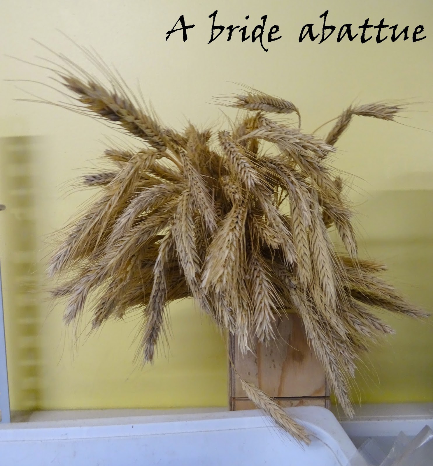 A bride abattue Tout savoir sur le SainteMauredeTouraine