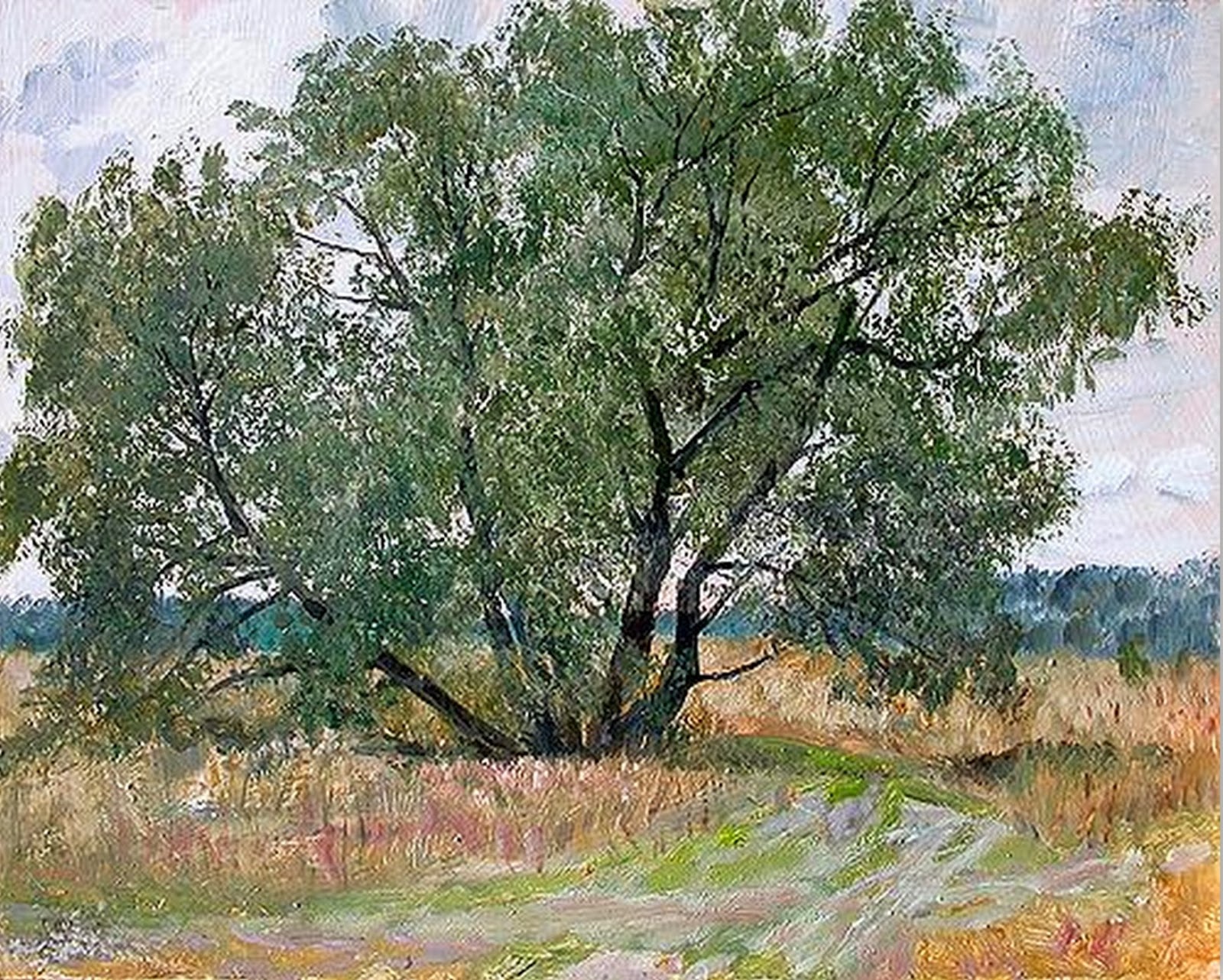 El arte es su máxima expresión : Paisajes al Óleo de “Viktor Safrono