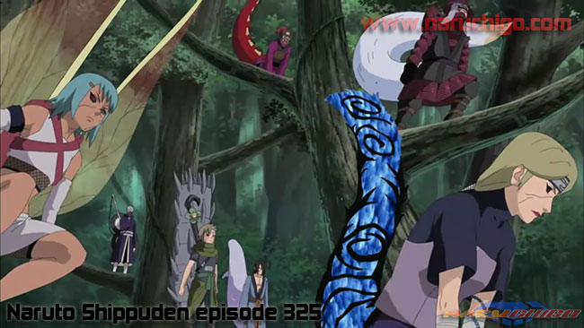 Naruto-Shippuden-Episode-325-Subtitle-Ba