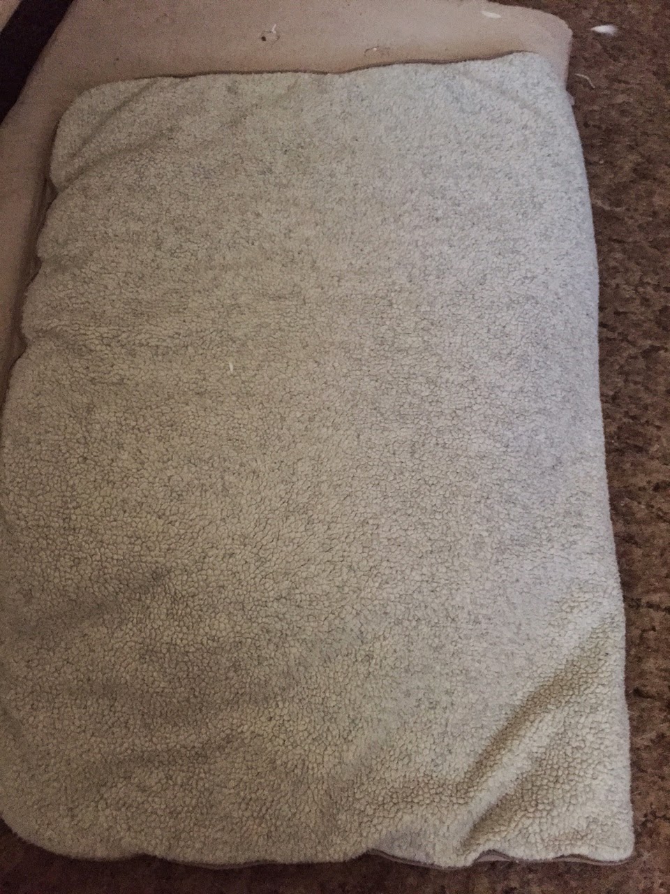 The Husky Review Wash 'n Zip Pet Bed *UPDATED*