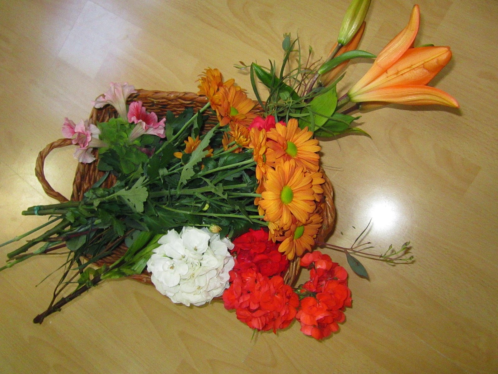 Escola Bressol El Petit Món RATOLINS