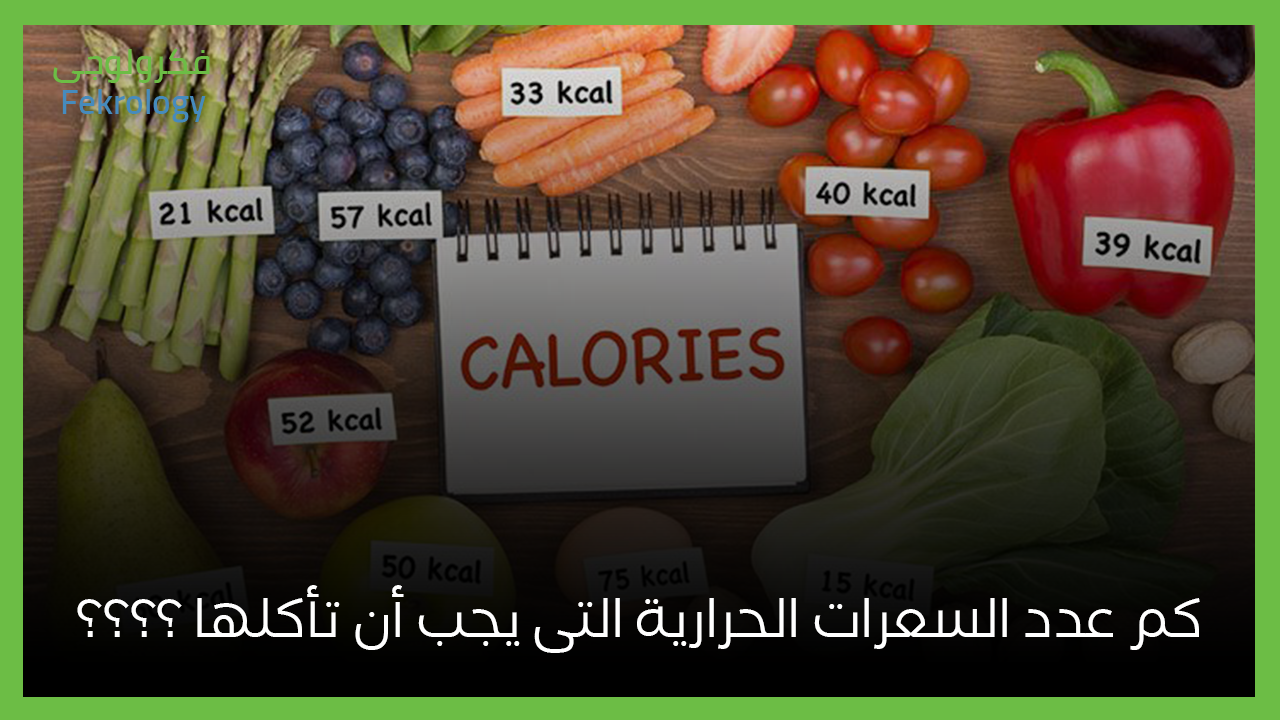 كم عدد السعرات الحرارية التى يجب أن تأكلها Fekrology