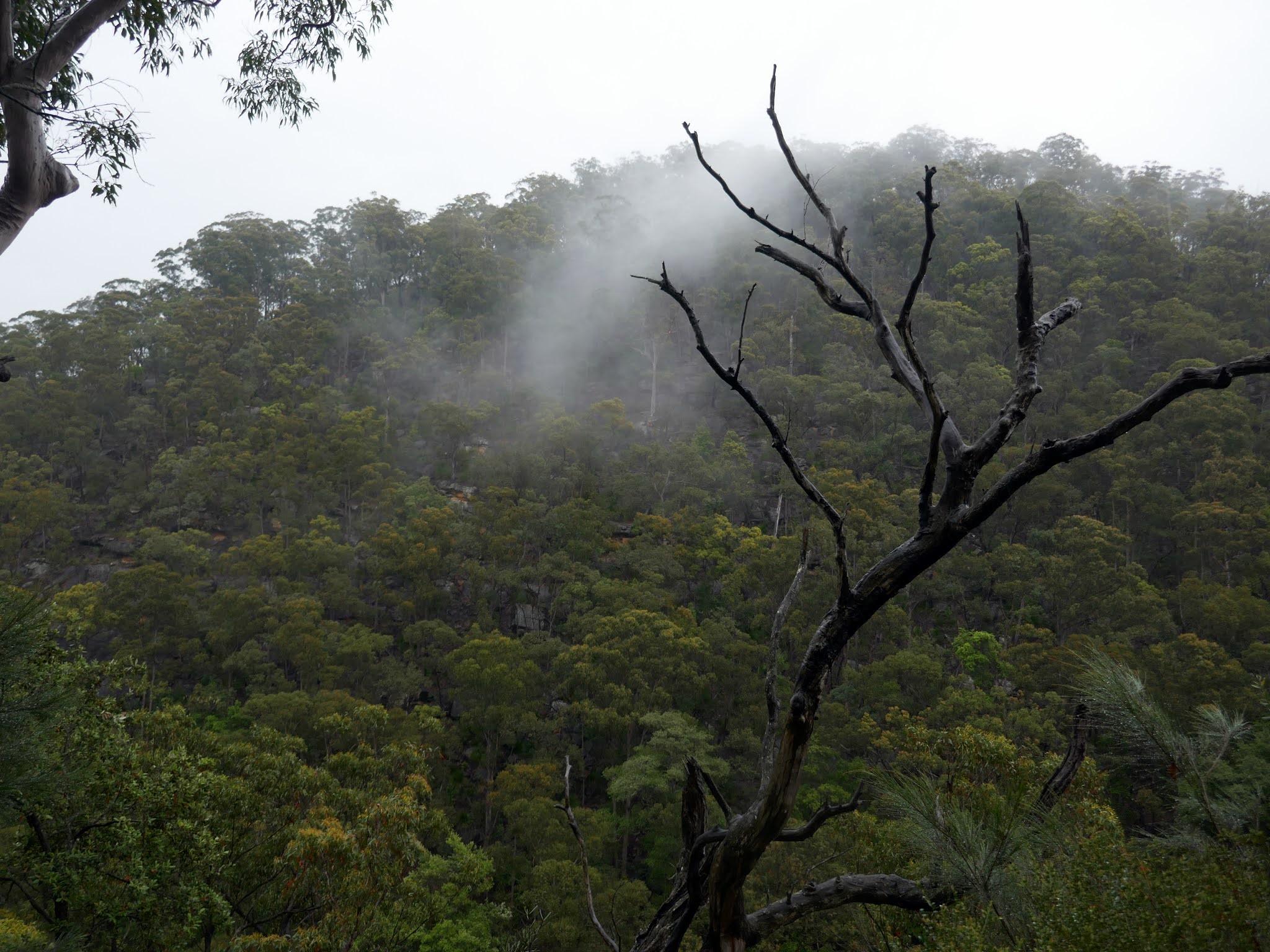 All The Gear But No Idea Sassafras Gully & Pippas Pass via the Victory Track