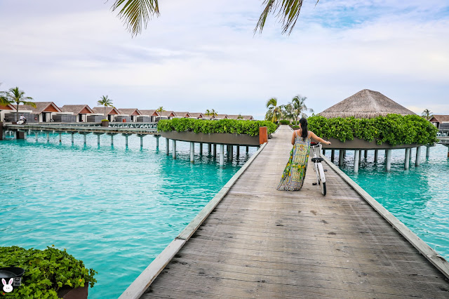 per aquum niyama, maldives, overwater bungalows. 