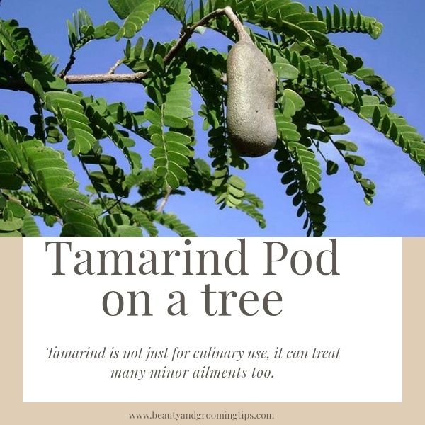 Medicinal uses of tamarind Beauty and Personal Grooming