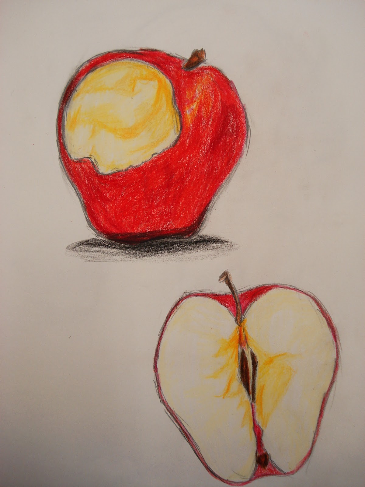 a faithful attempt: Sliced Fruit Drawings