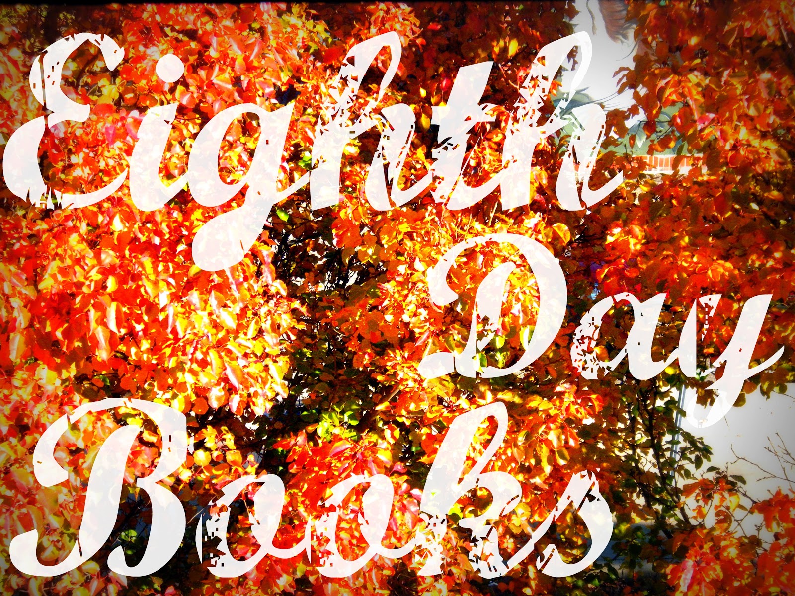 I've Gotta Guy Book it to Eighth Day Books