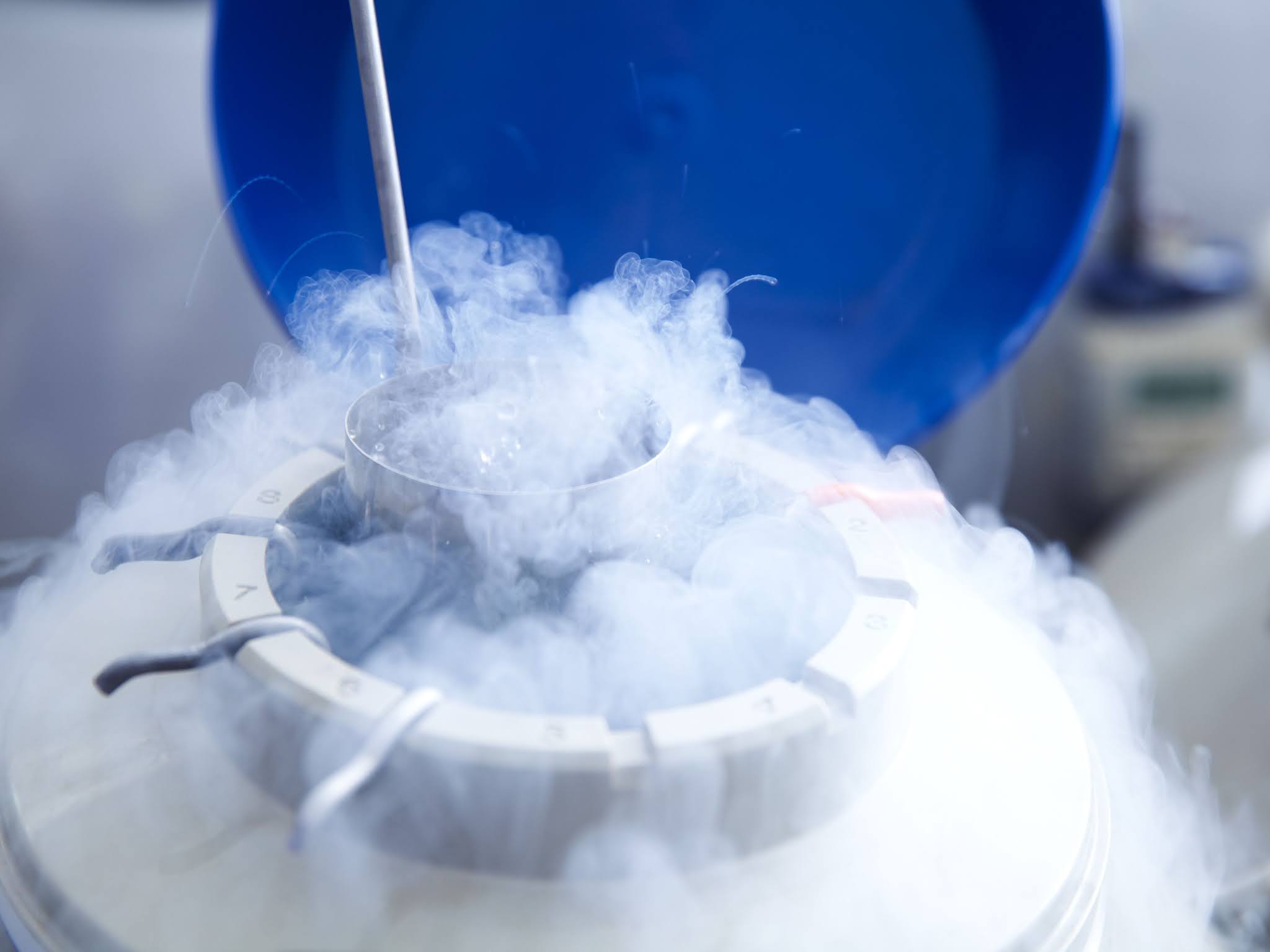 Are your frozen IVF embryos alive after they have been thawed ? The