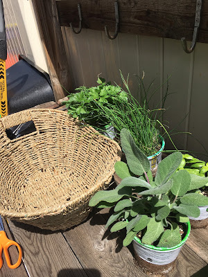 How to make a Herb basket- The Style Sisters, Fresh herb basket