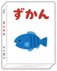 魚図鑑のイラスト