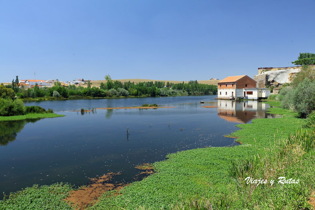 Río Tormes en Alba de Tormes