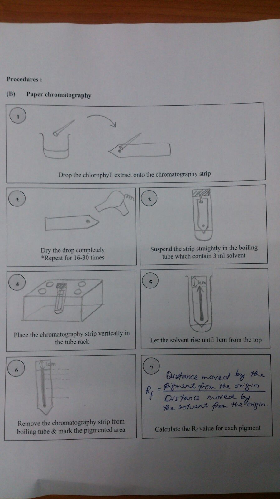 Matriculation Biology Experiment 17 Photosynthesis