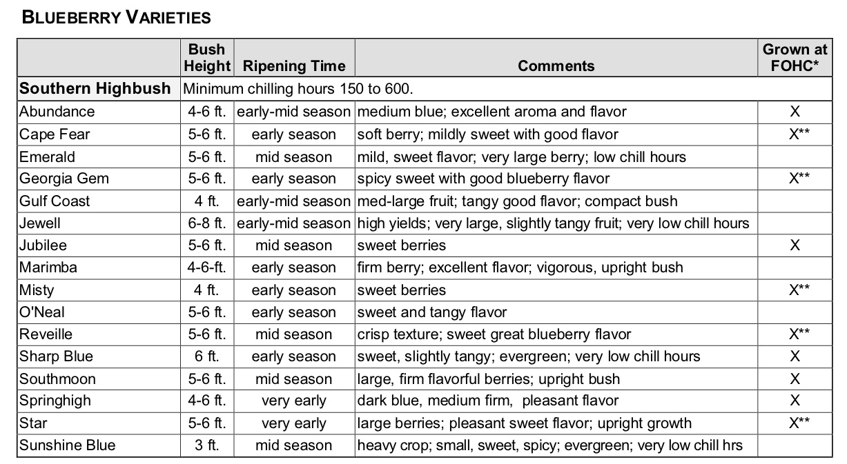 the farmer fred rant blueberries grow well in containers blueberry varieties chart