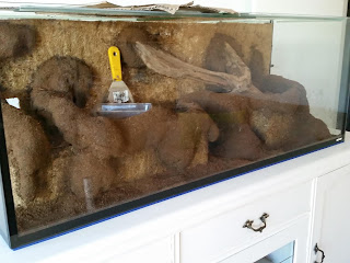 Expanding foam paludarium covered in silicone and coco peat
