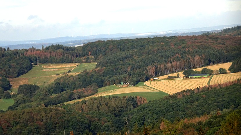 Taunus Wiesbaden Katzenlohe