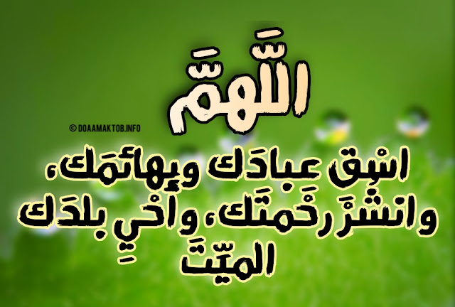 الدعاء عند نزول المطر