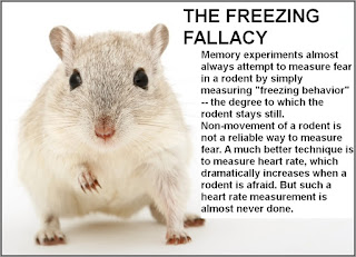 animal freezing